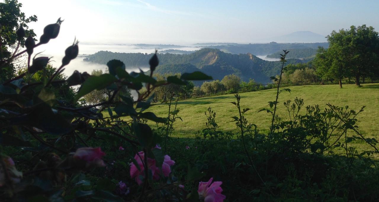 Bed And Breakfast Dopo Il Settimo Cielo Lubriano Eksteriør billede