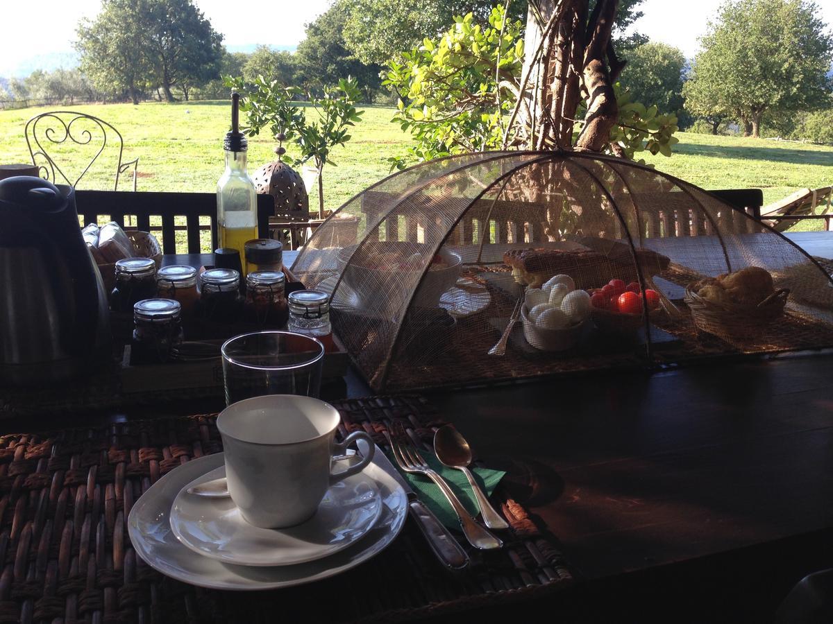 Bed And Breakfast Dopo Il Settimo Cielo Lubriano Eksteriør billede