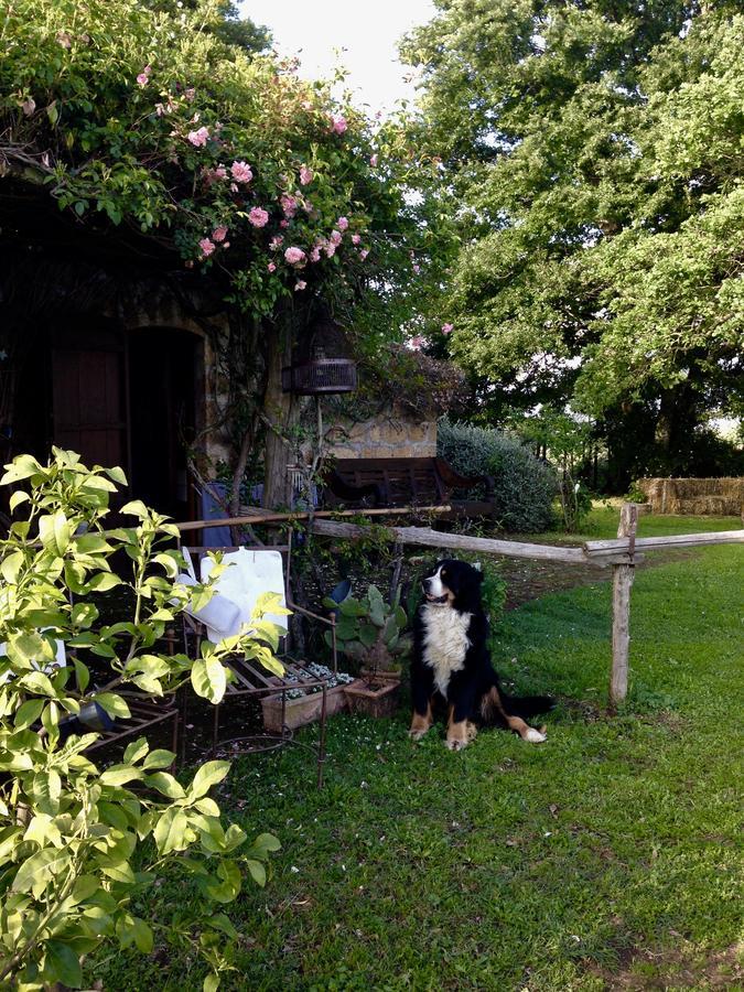 Bed And Breakfast Dopo Il Settimo Cielo Lubriano Eksteriør billede