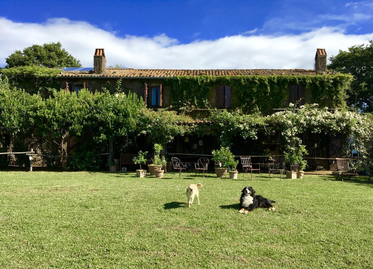 Bed And Breakfast Dopo Il Settimo Cielo Lubriano Eksteriør billede